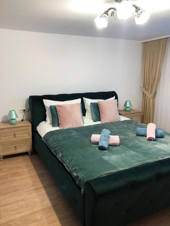 Ultra Central Apartment, Free Parking Oradea - Stray Cats מראה חיצוני תמונה